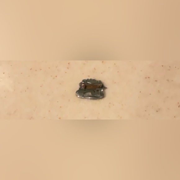 Limited 2001 Birds and Bloom Wheel Barrow Pin - Picture 2 of 2